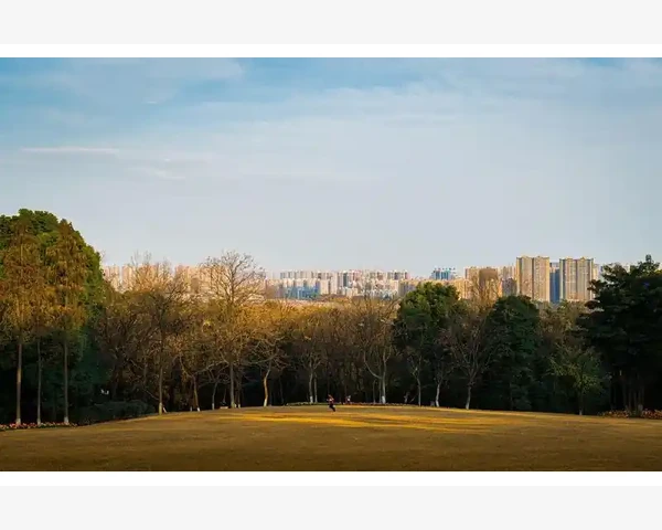 初哆咪调脾胃：中医科普文章