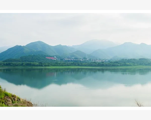中医科普：月经推迟须知的中药方剂，缓解女性困扰